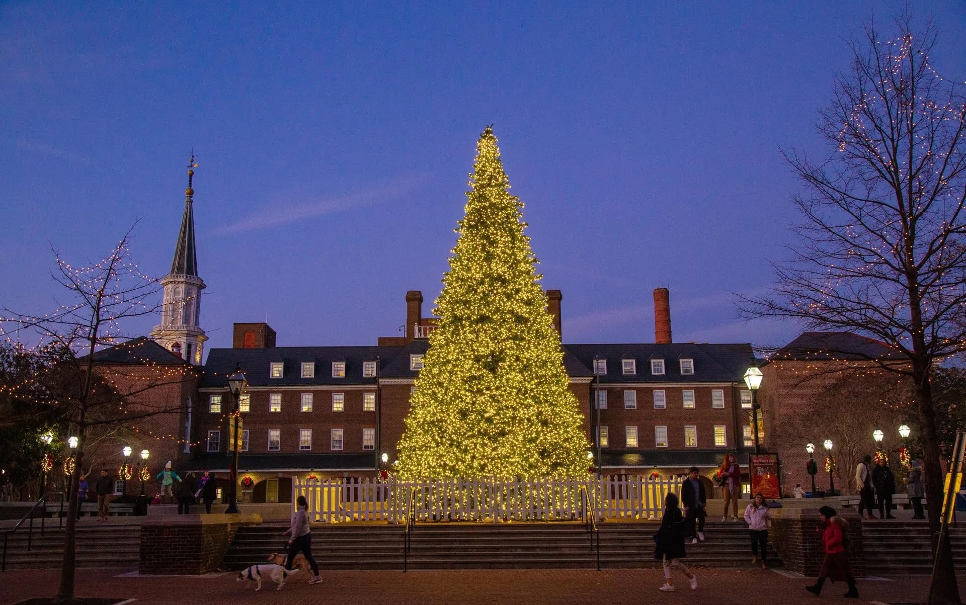 Tree_at_Market_Square_CREDIT_Misha_Enriquez_for_Visit_Alexandria__1_-1 Christmas in Alexandria